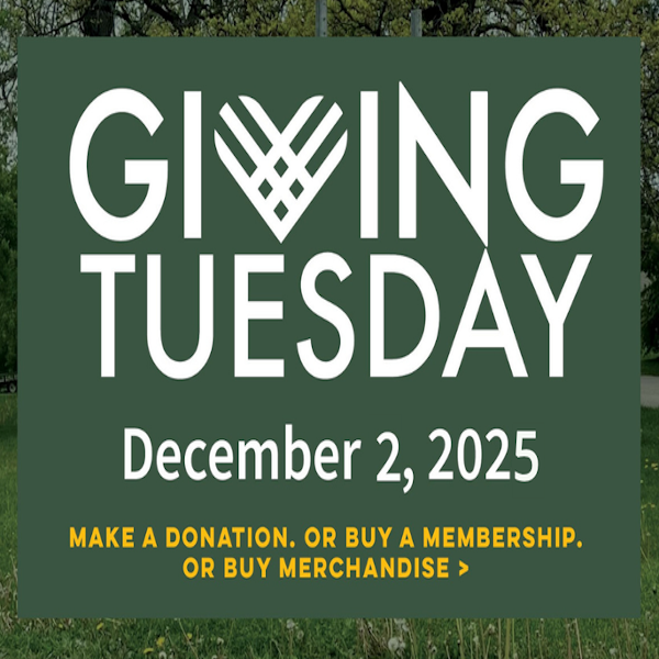 Giving Tuesday 2025 - Canadian Baseball Hall of Fame and Museum